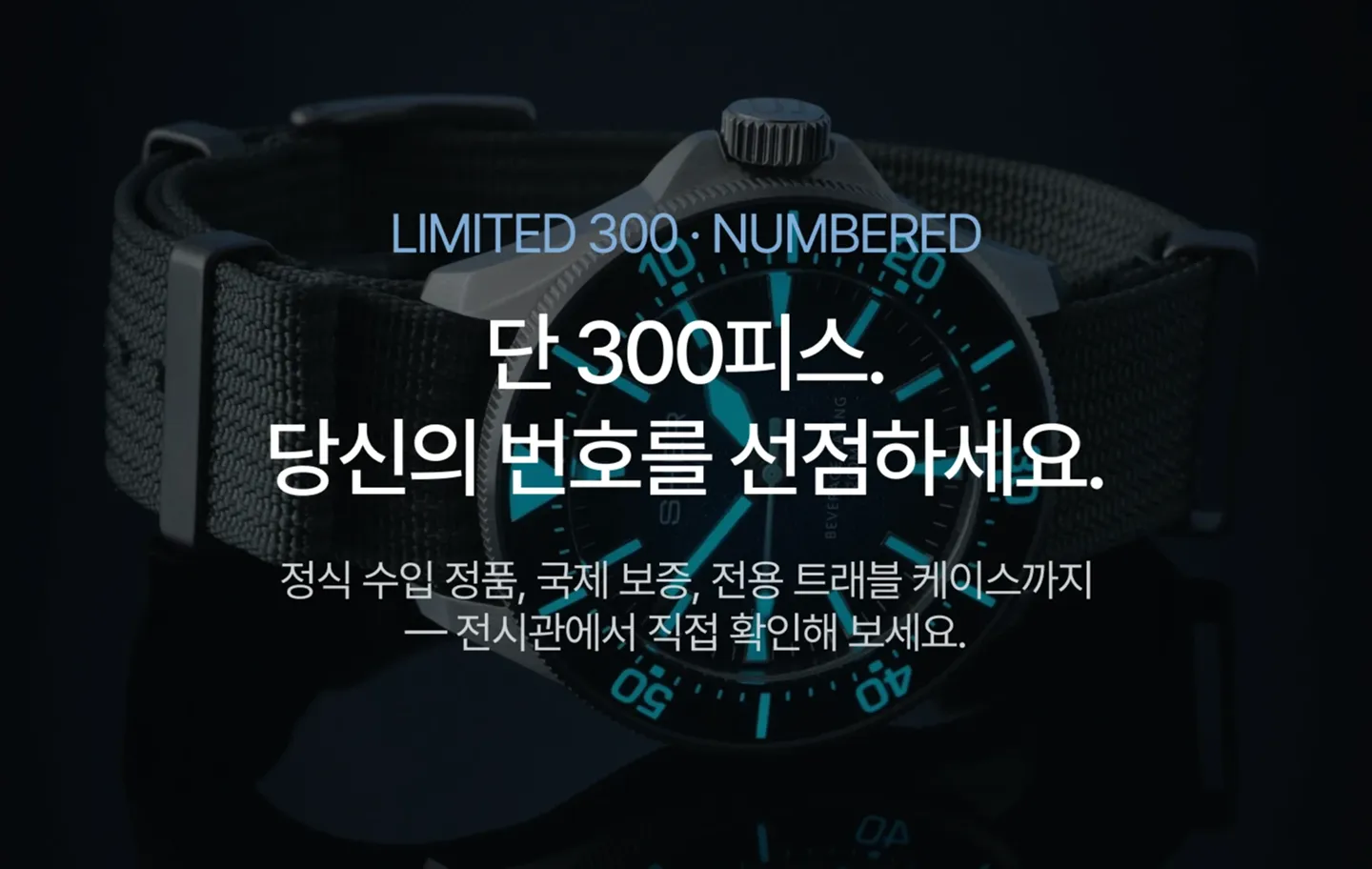 한정판 관련 정보 포함한 브랜드 소개 Footer.